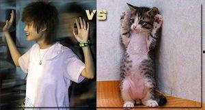 八卦猫最新爆料,娱乐圈最新重磅爆料！